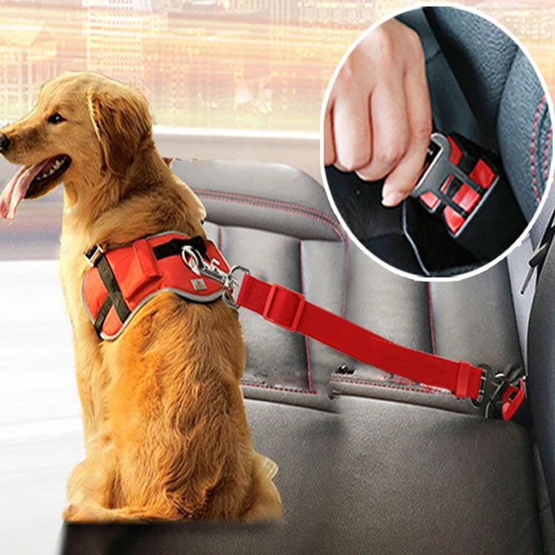 Seatbelt dog harness