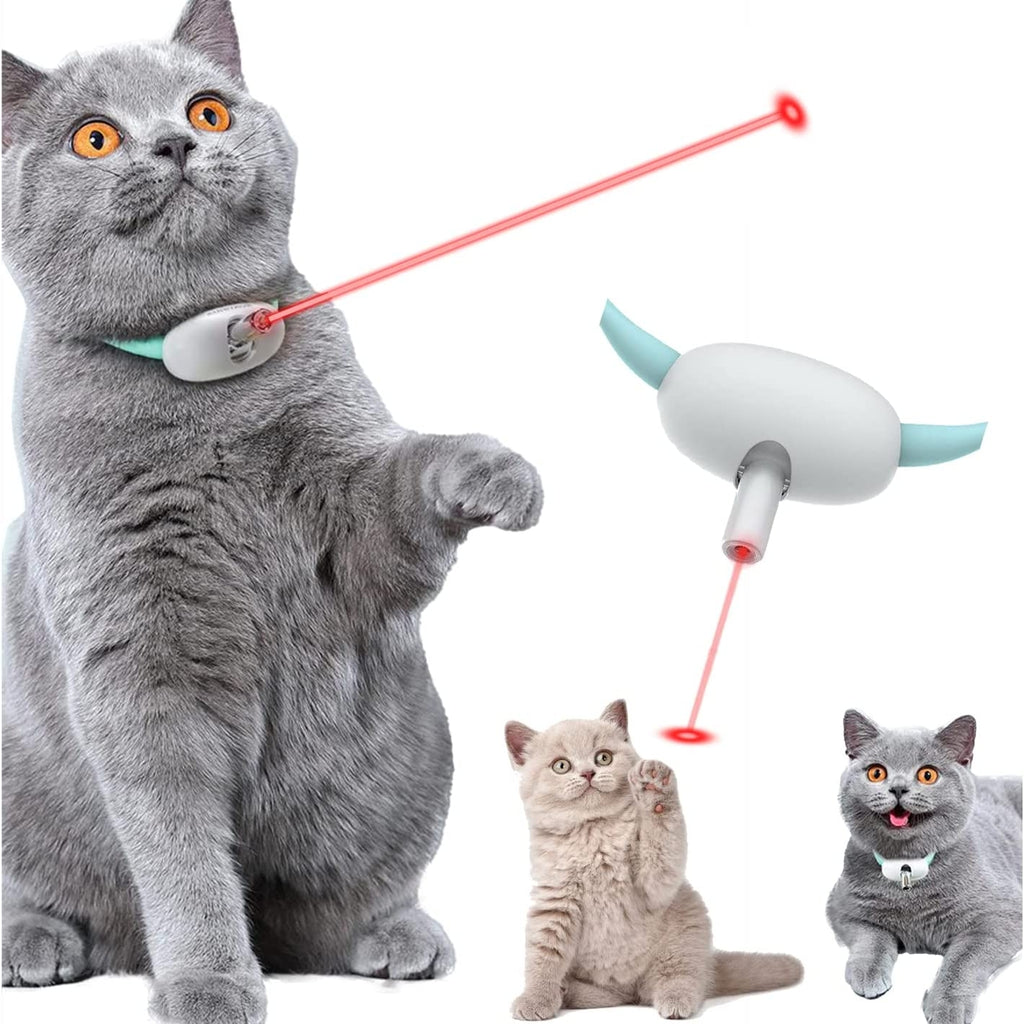 Collar laser pointer