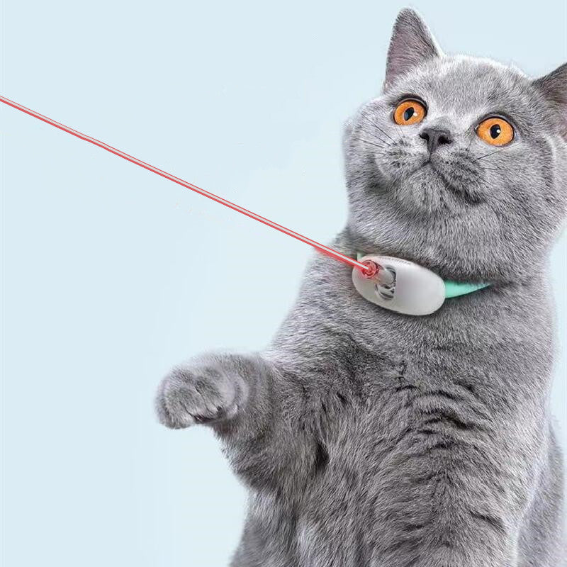 Collar laser pointer